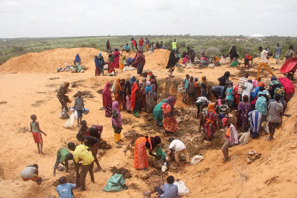 Bir poşet kurban bir dünya mutluluk